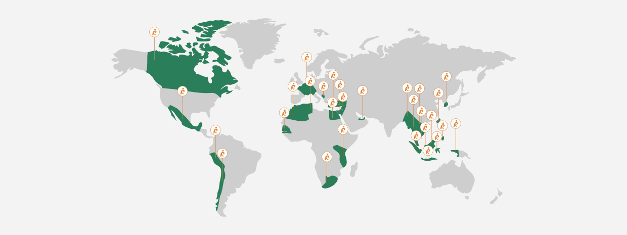 Our-presence-map